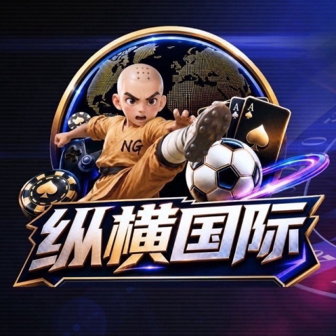 ⭐纵横国际⭐